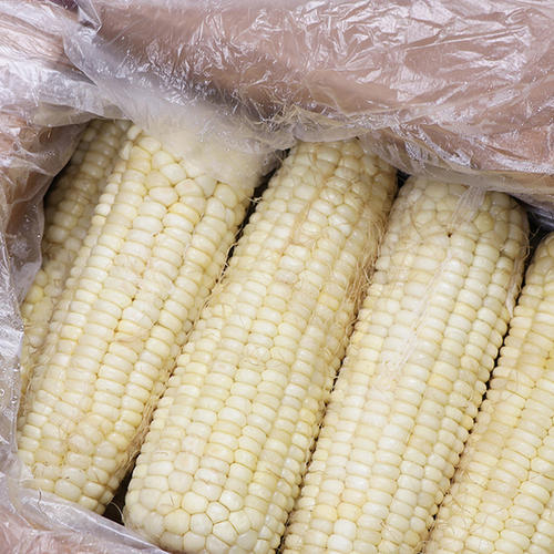 速凍糯玉米