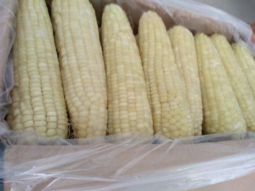 速凍糯玉米